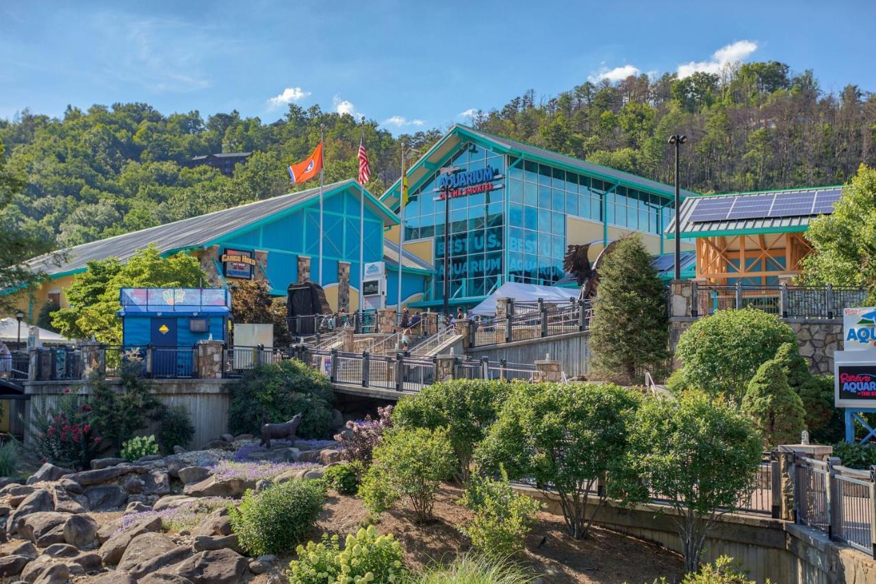 5Bd5B Escape Cabin With 2 Hottubs, Thtr &Game Rm,1Mi To The Parkway! 4Mi To Dollywood - Spring Deal Пиджен Фордж Екстериор снимка